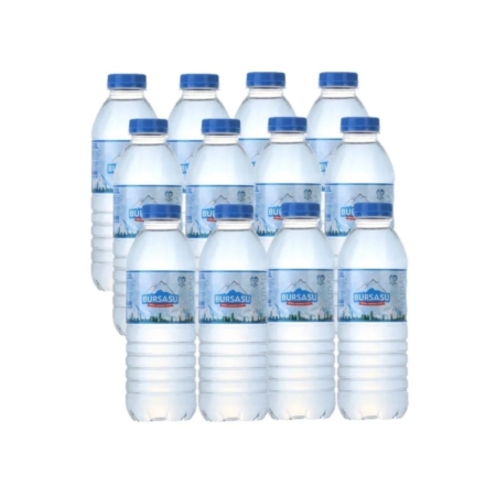 Bursa Su 500ml 12'li